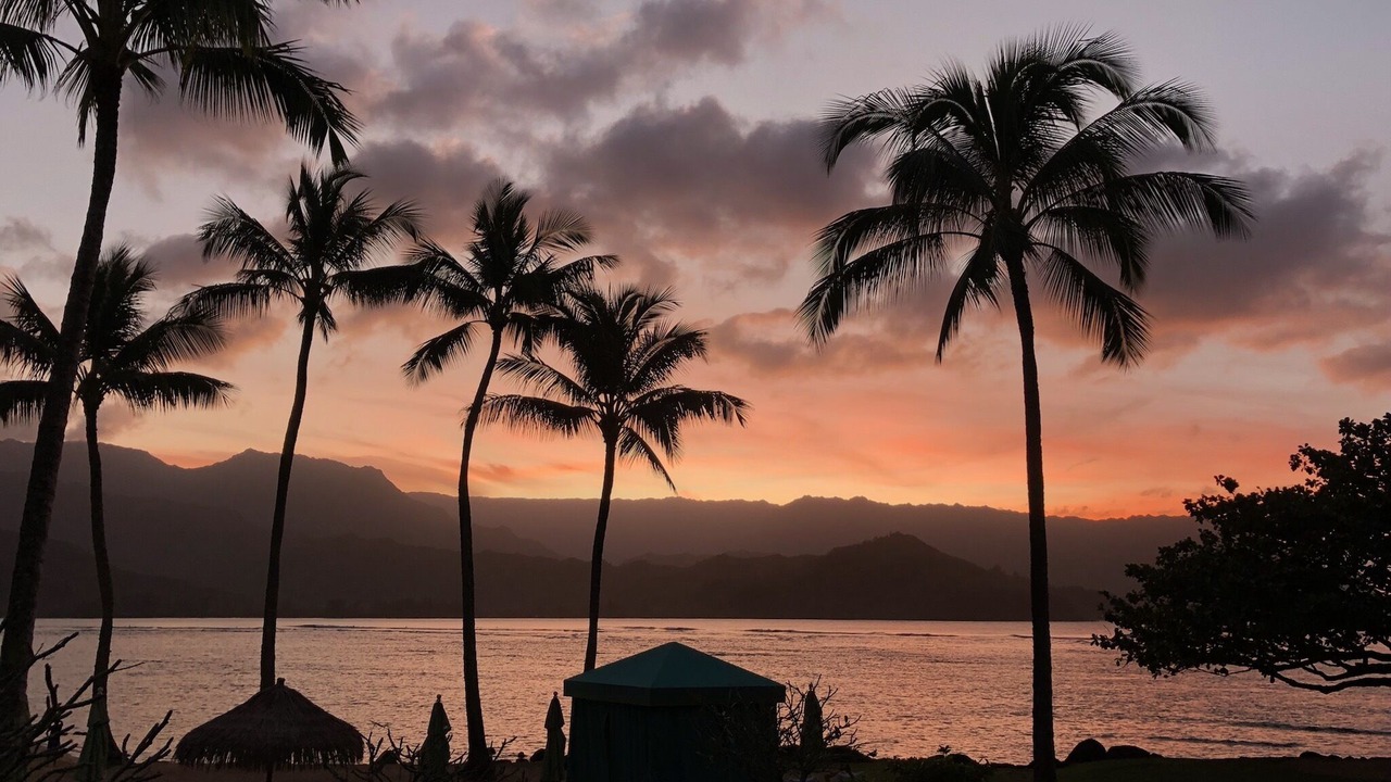 Photo of Others in Princeville