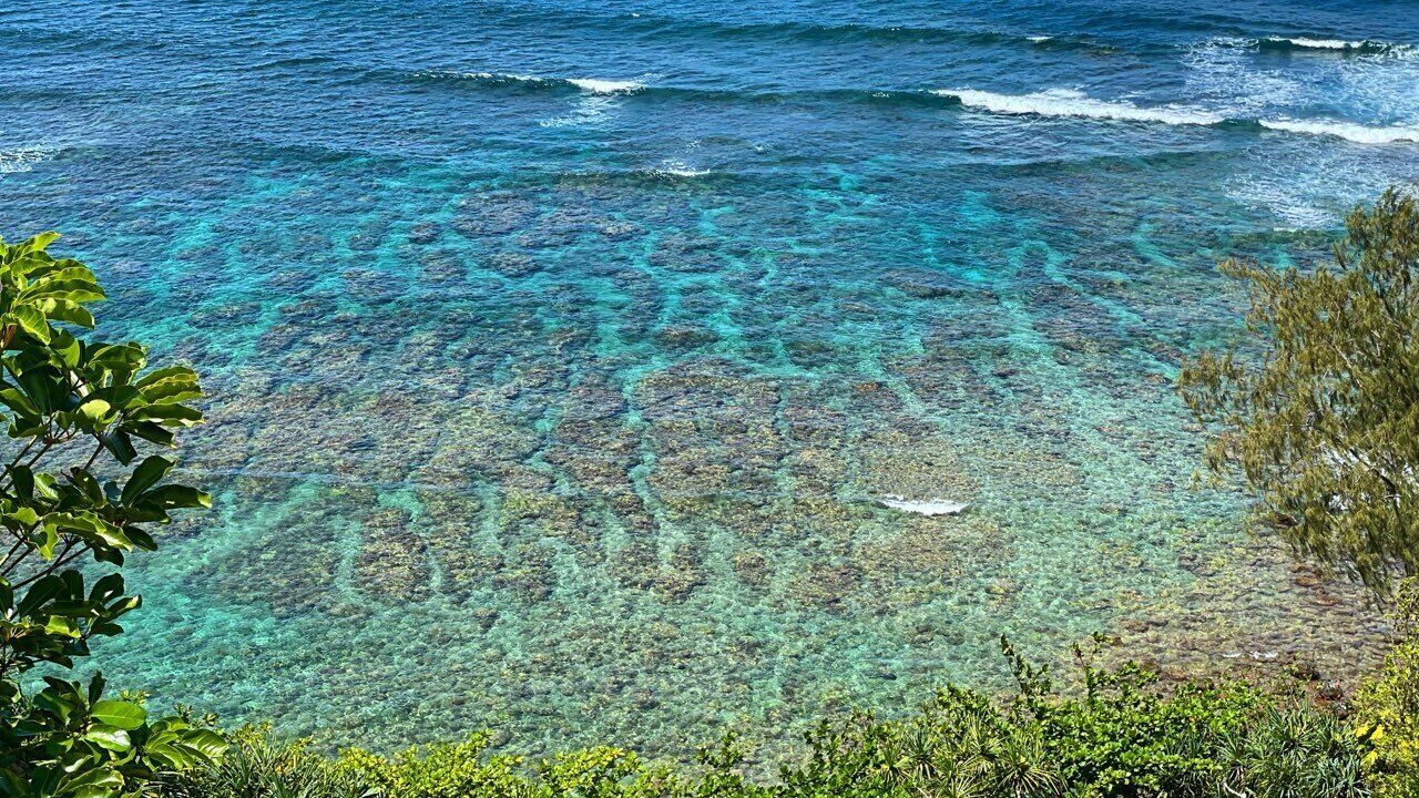 Photo of Others in Princeville