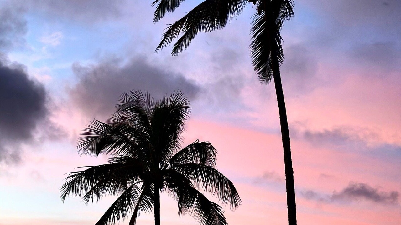 Photo of Others in Princeville