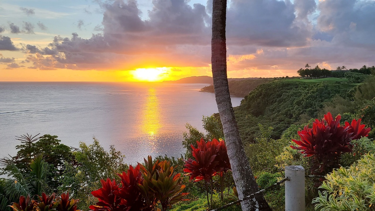 Photo of Others in Princeville