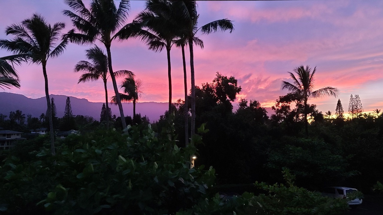 Photo of Others in Princeville