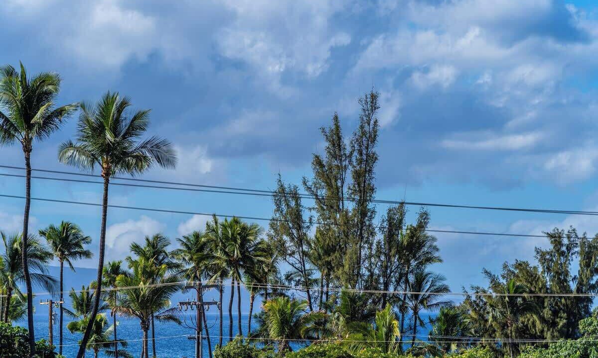 Photo of Others in Kihei