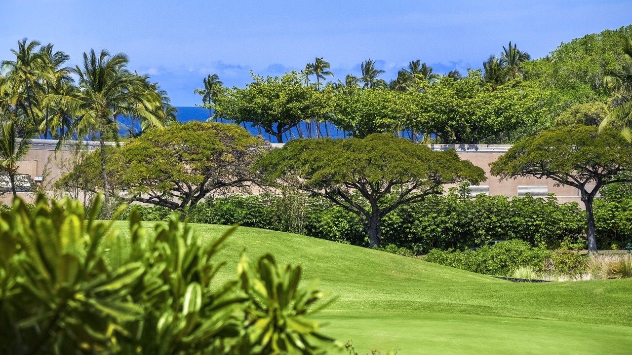 Photo of Others in Waikoloa