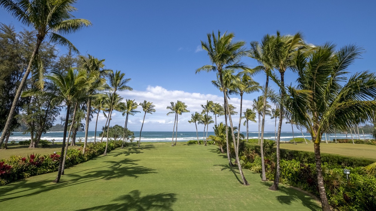 Photo of Others in Hanalei