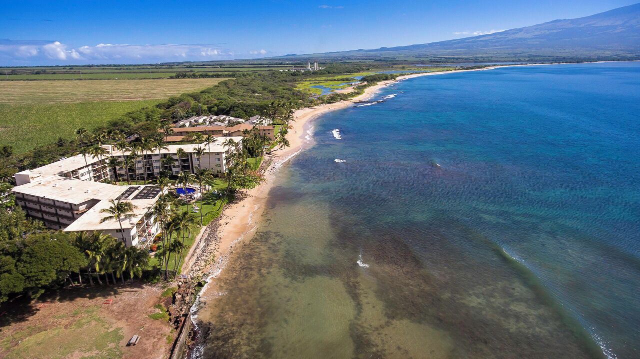 Photo of Others in Maalaea