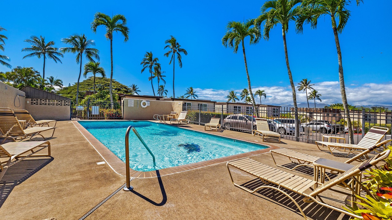 Photo of Outdoor in Napili
