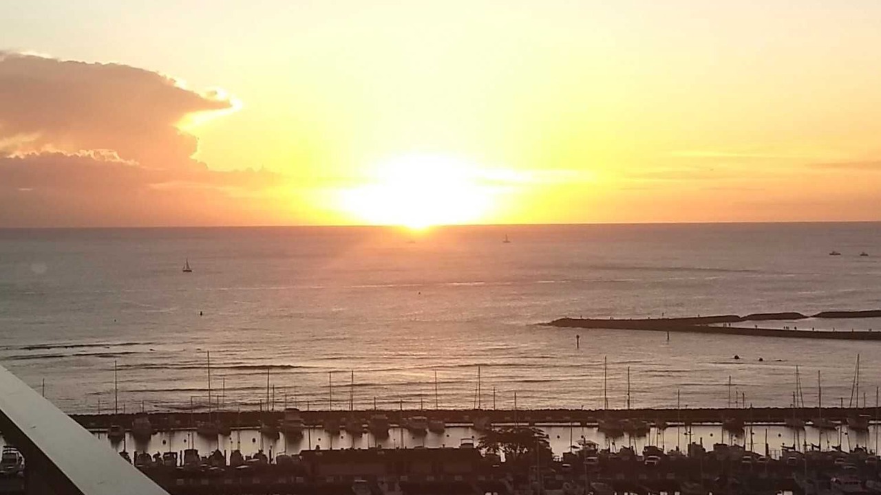 Photo of Others in Waikiki