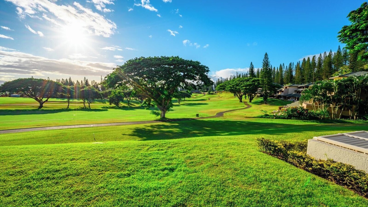 Photo of Others in Kapalua