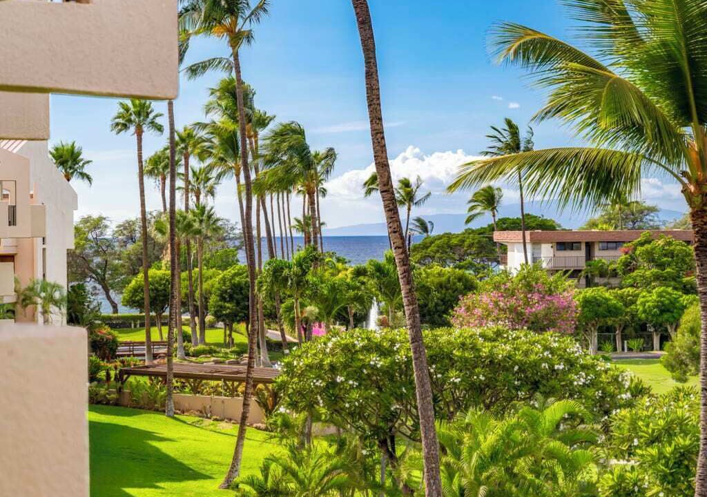 Photo of Outdoor in Kihei
