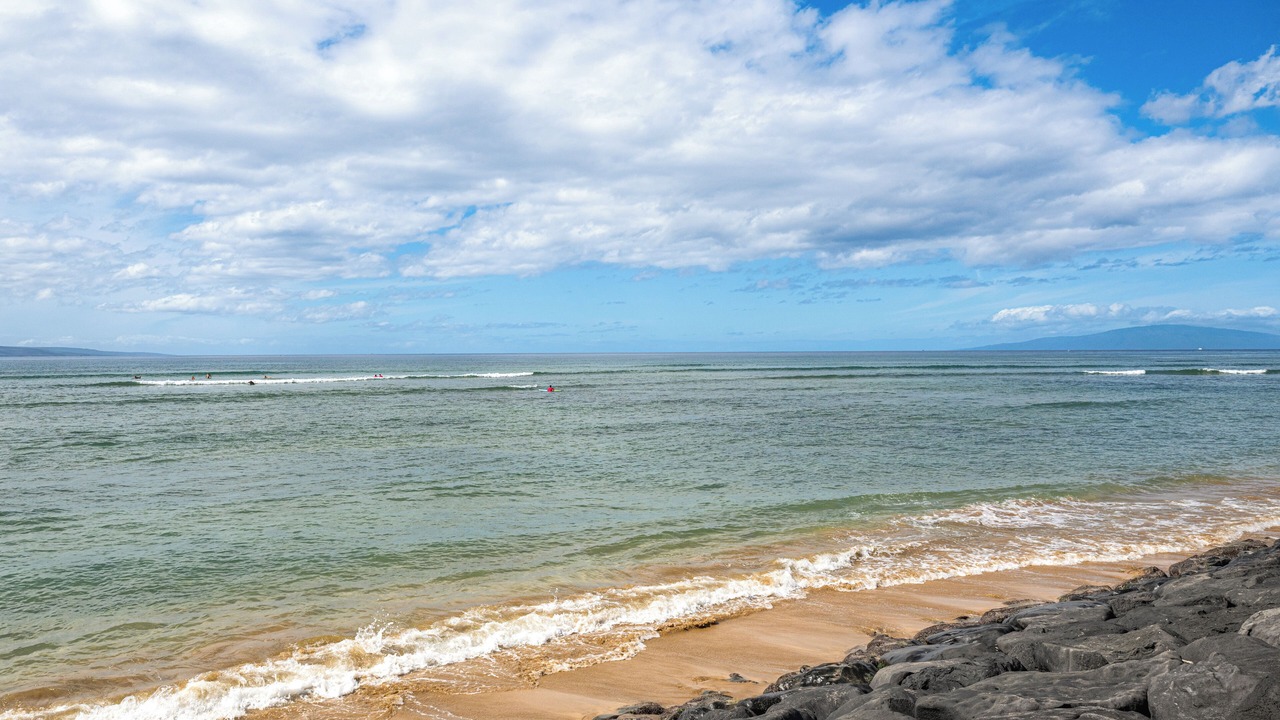 Photo of Others in Kihei