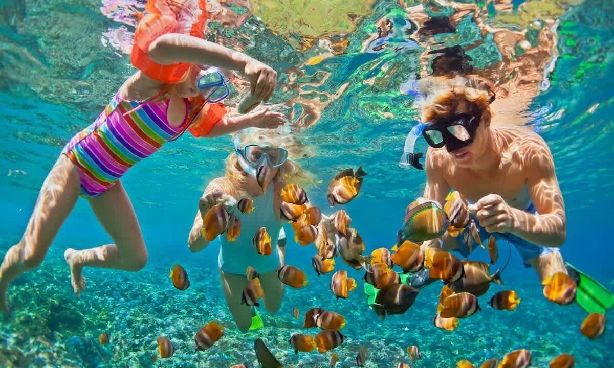 Photo of Others in Wailua