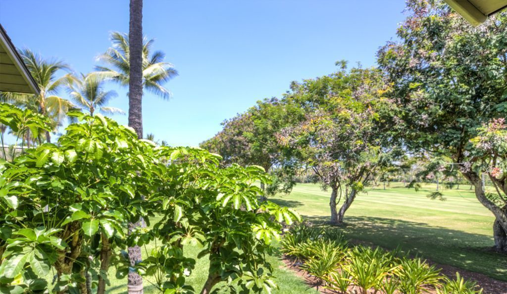 Photo of Others in Keauhou