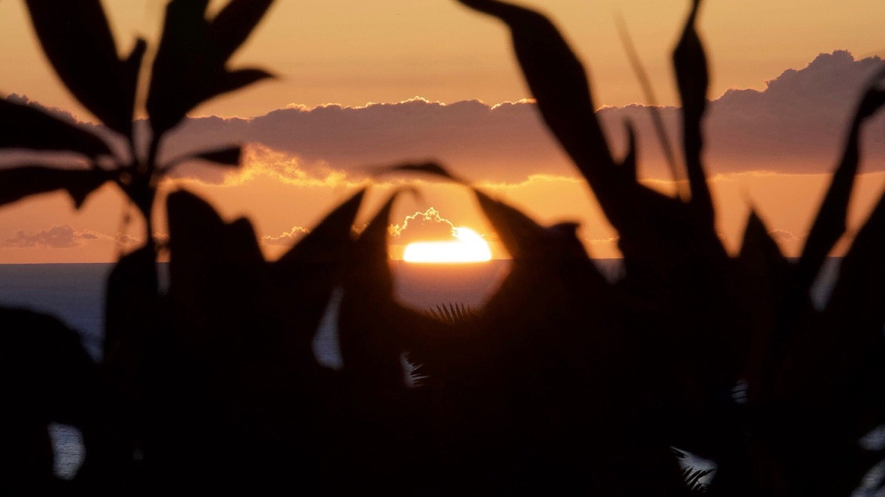 Photo of Others in Kahaluu-Keauhou