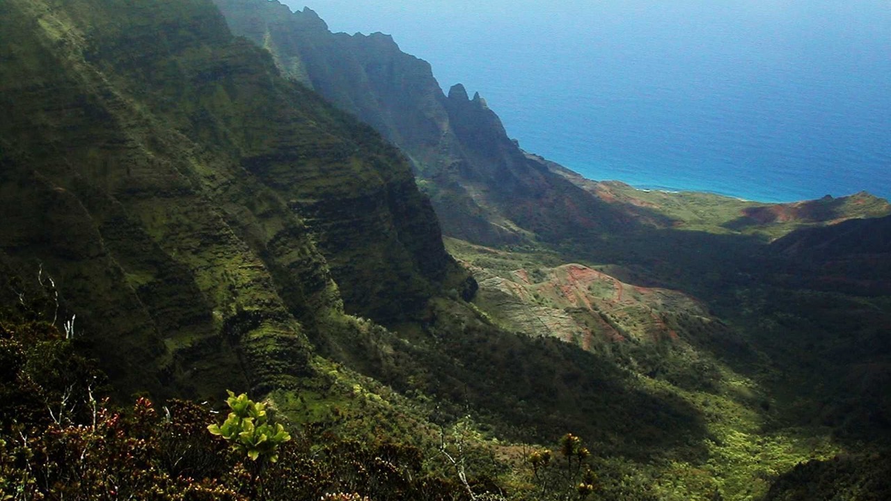 Photo of Others in Poipu