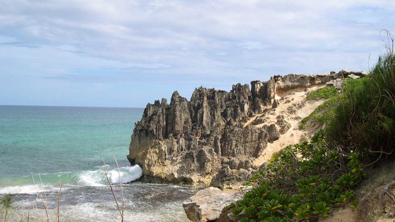 Photo of Others in Poipu
