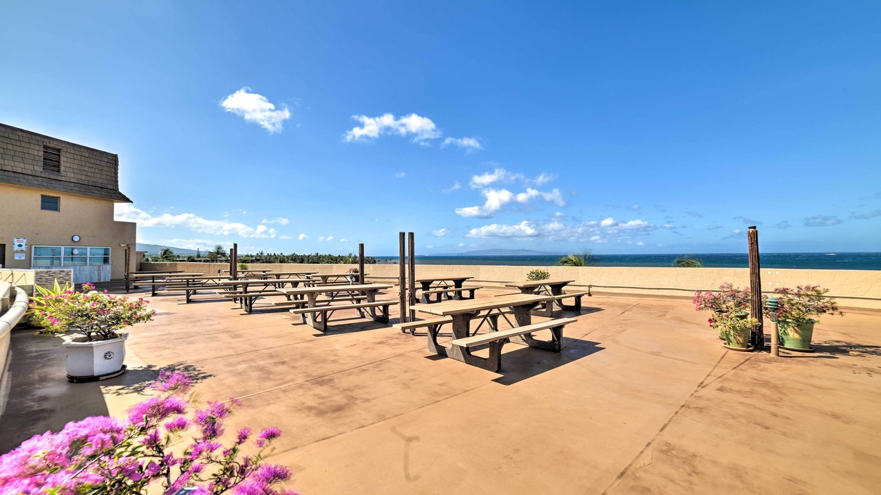 Photo of Outdoor in Kihei
