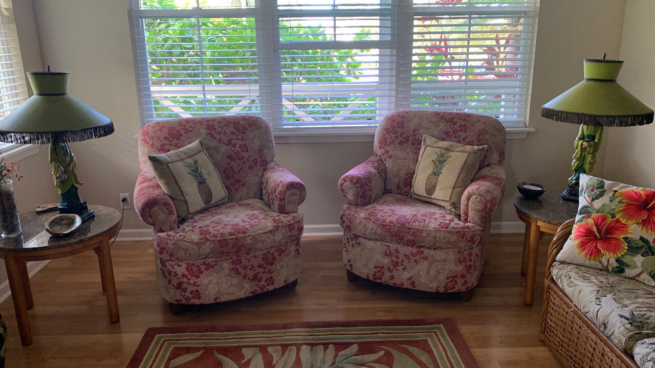 Photo of Livingroom in Princeville