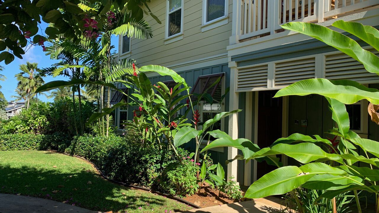 Photo of Others in Princeville