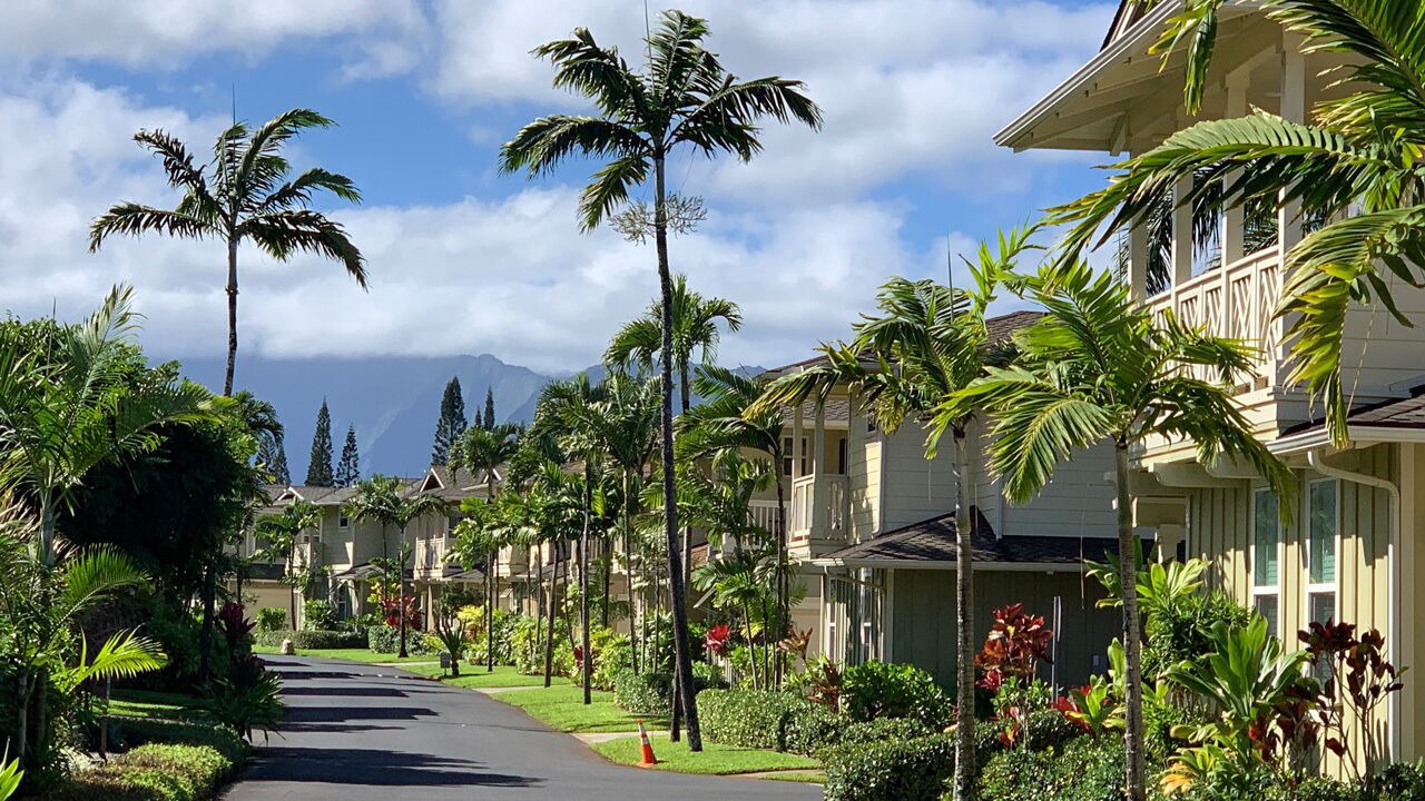 Photo of Outdoor in Princeville