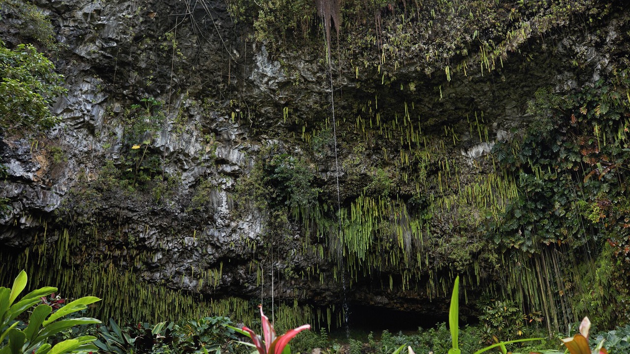 Photo of Others in Hanalei