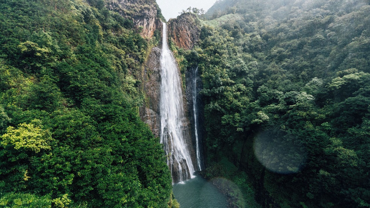 Photo of Others in Hanalei