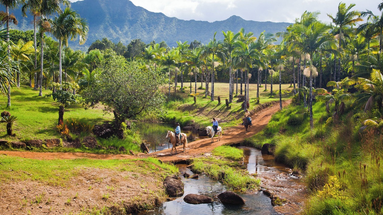 Photo of Others in Hanalei
