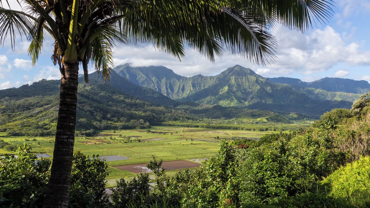 Photo of Others in Hanalei
