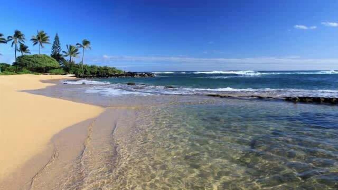 Photo of Others in Wailua