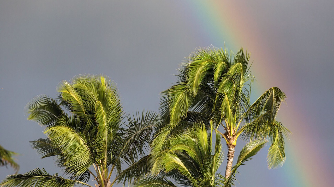 Photo of Others in Princeville