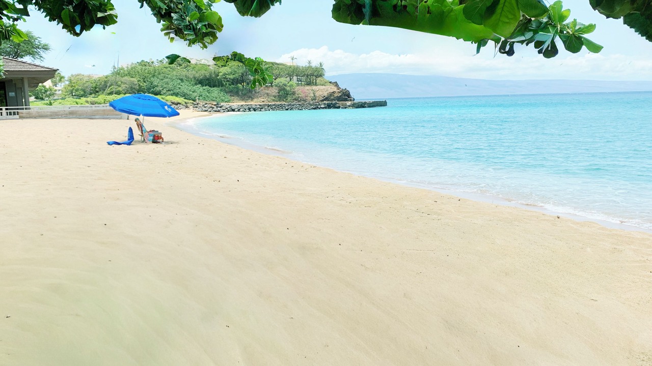 Photo of Others in Kaanapali