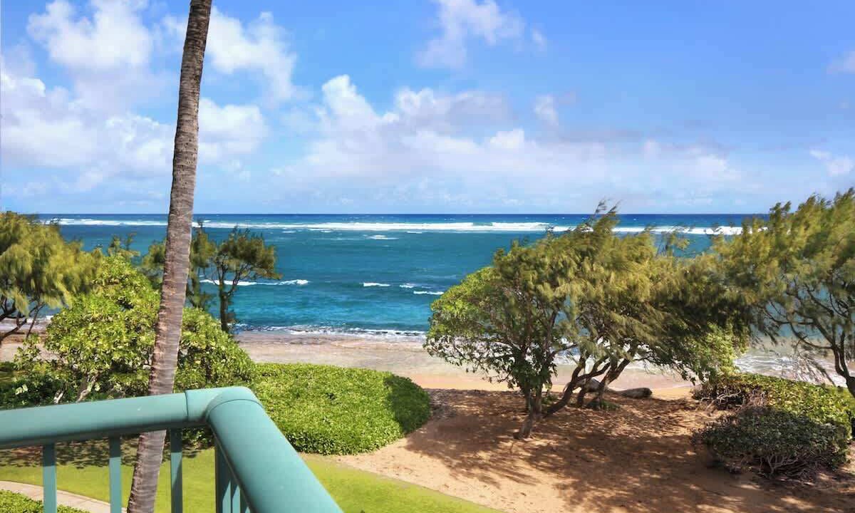 Photo of Others in Wailua