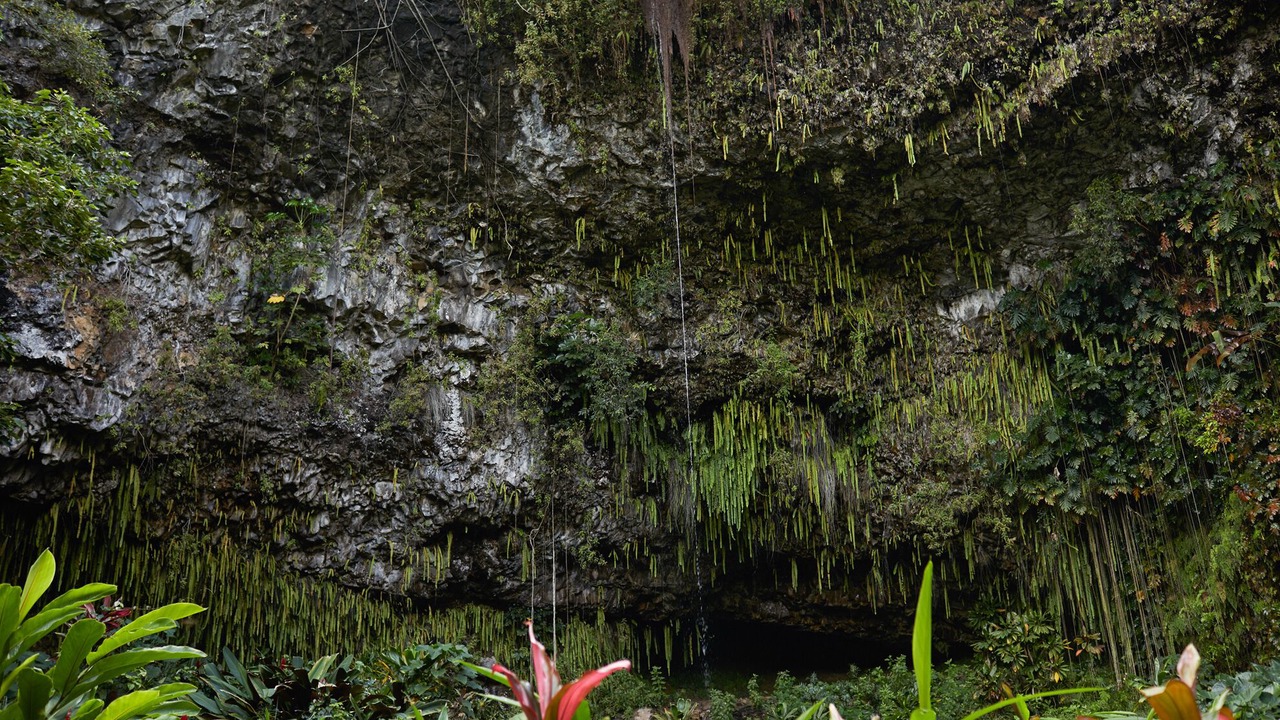 Photo of Others in Wailua