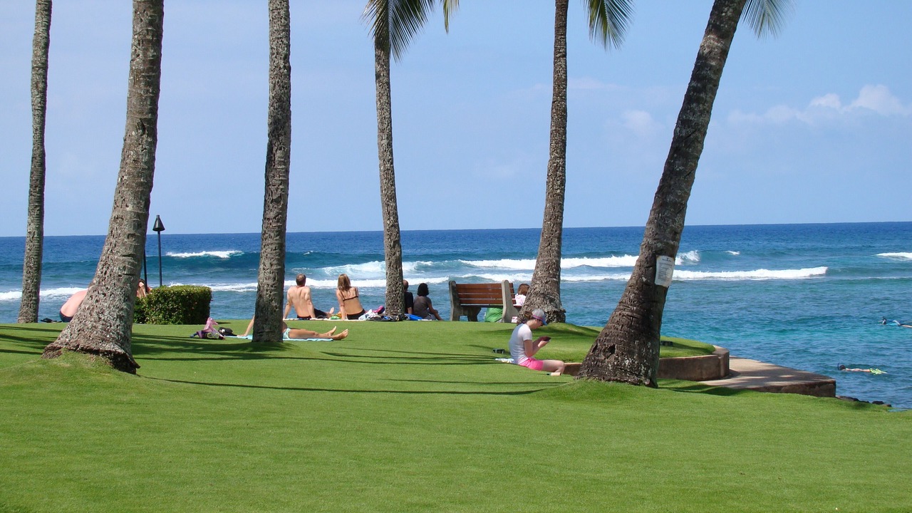 Photo of Others in Poipu