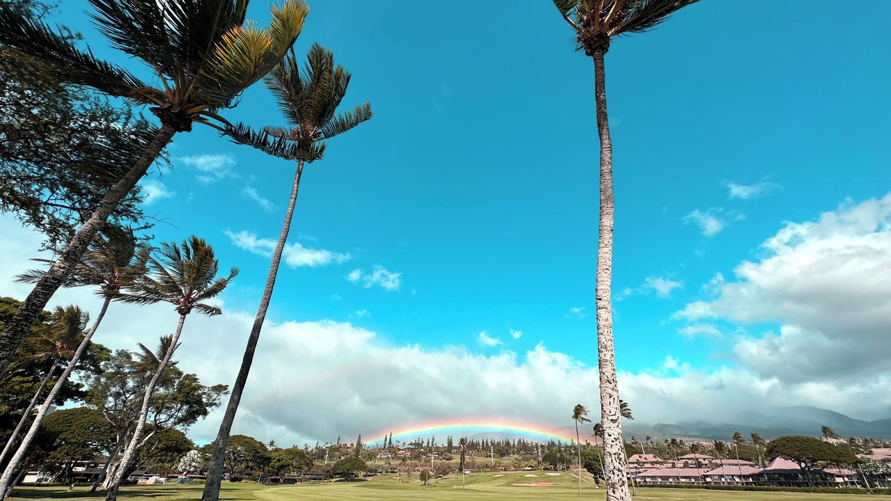 Photo of Others in Kaanapali