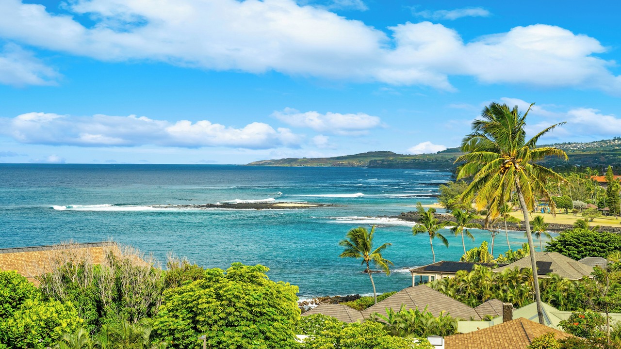 Photo of Others in Poipu