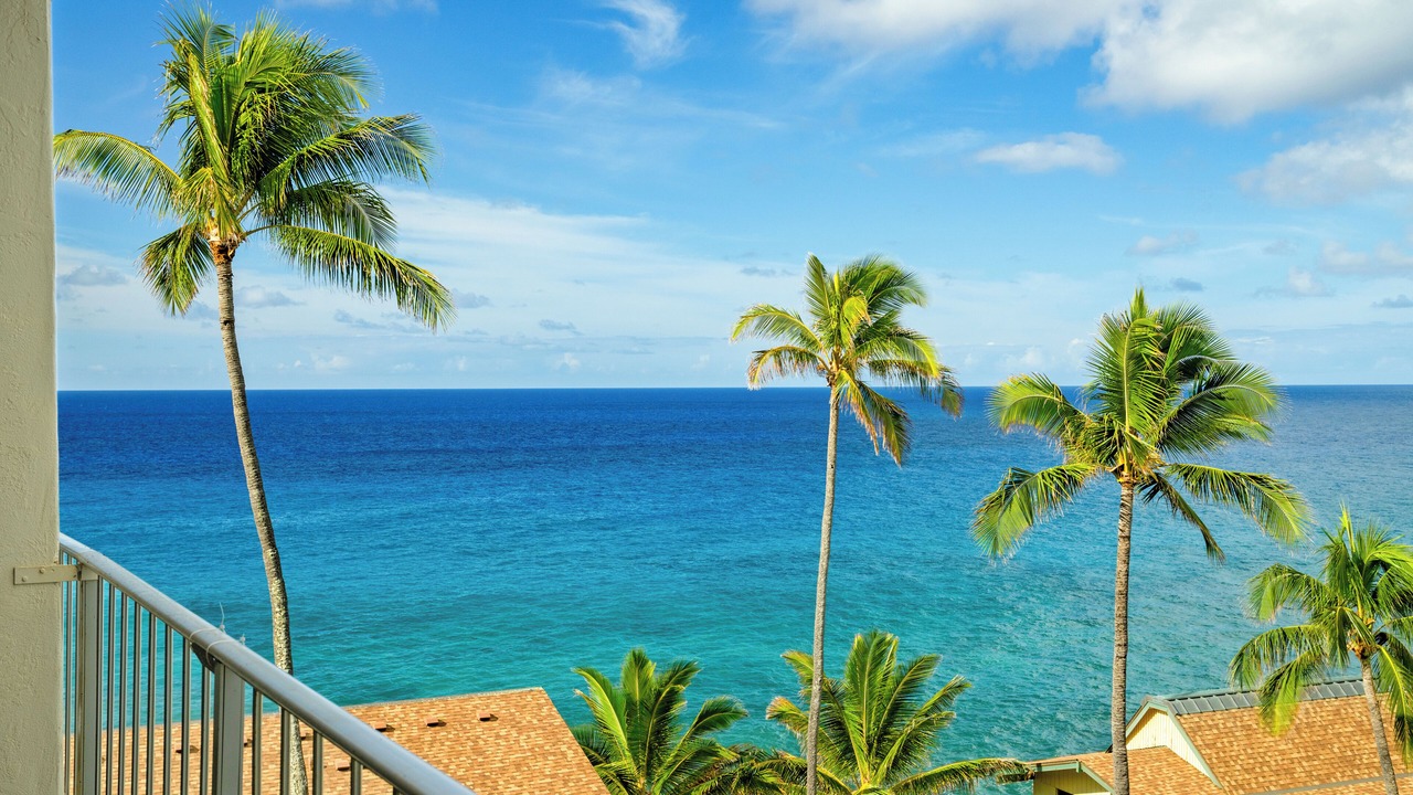 Photo of Others in Poipu