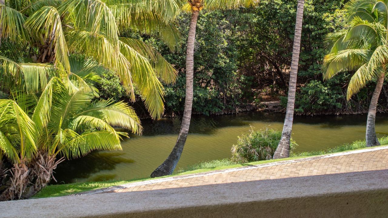 Photo of Outdoor in Kihei