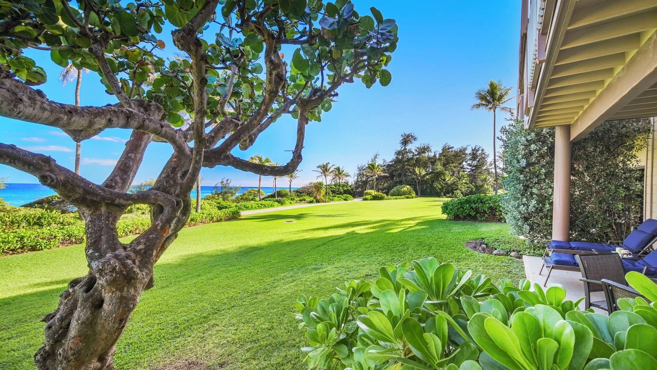 Photo of Outdoor in Lihue
