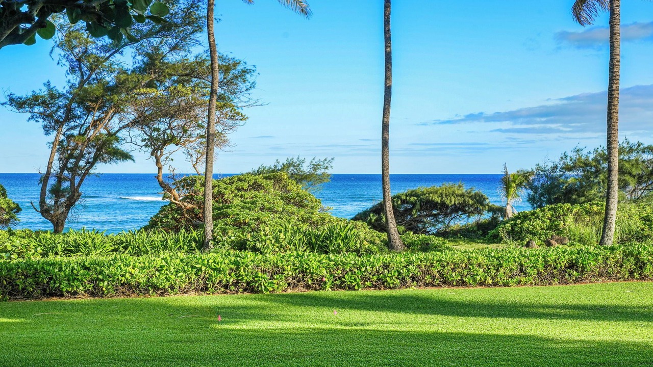 Photo of Others in Lihue
