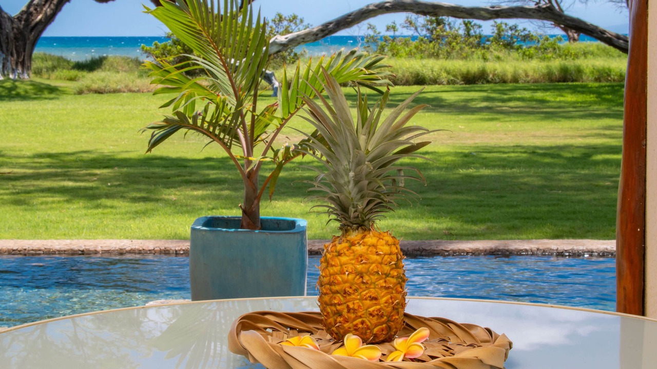 Photo of Outdoor in Kihei