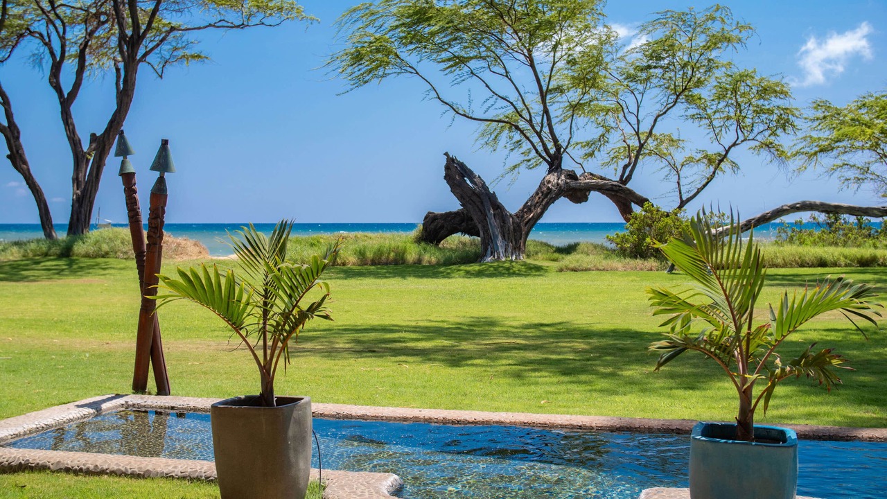Photo of Outdoor in Kihei