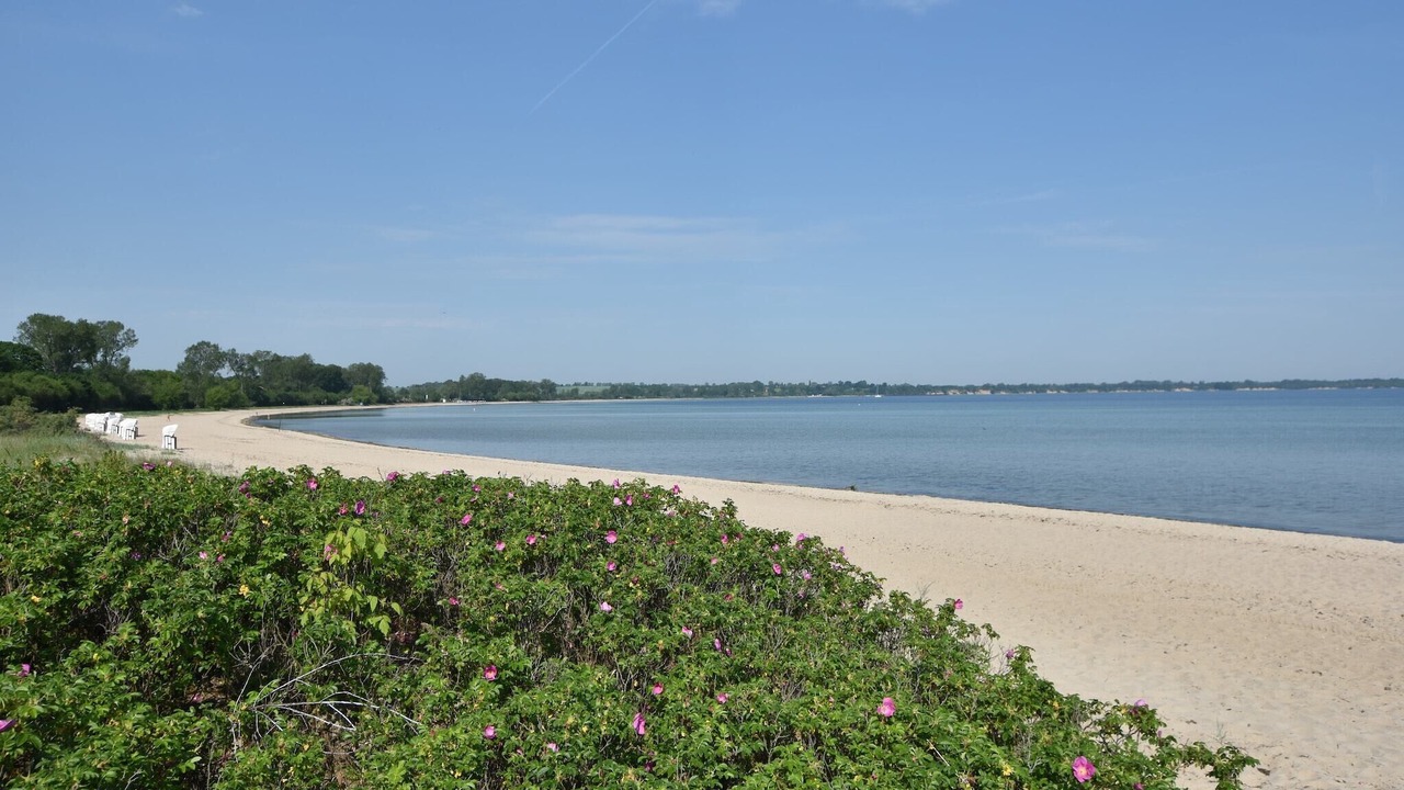 Photo of Others in Ostseebad Boltenhagen