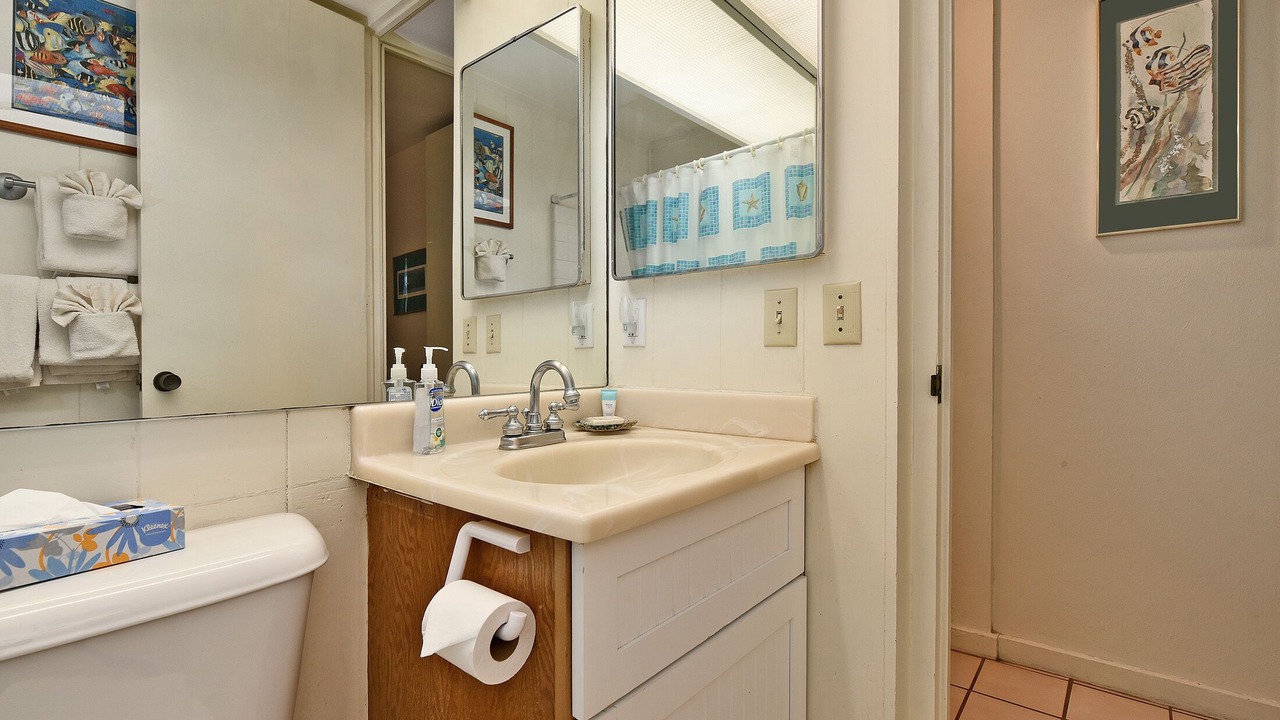 Photo of Bathroom in Napili