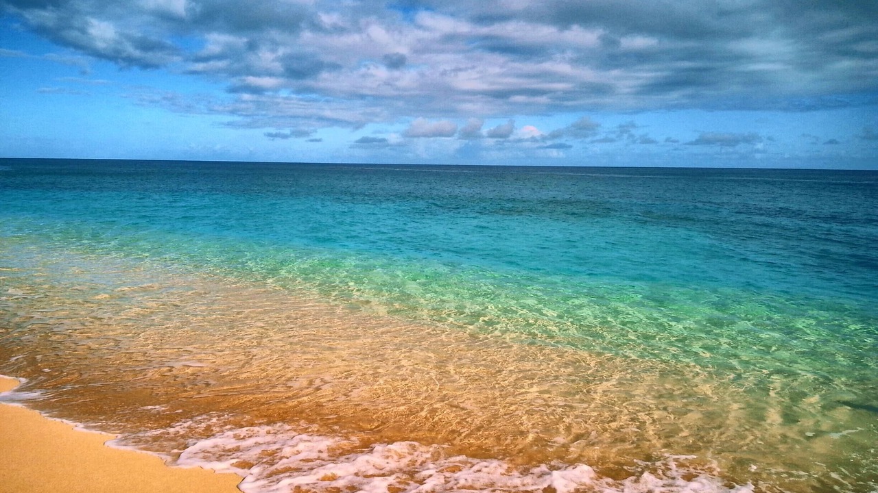 Photo of Others in Pupukea