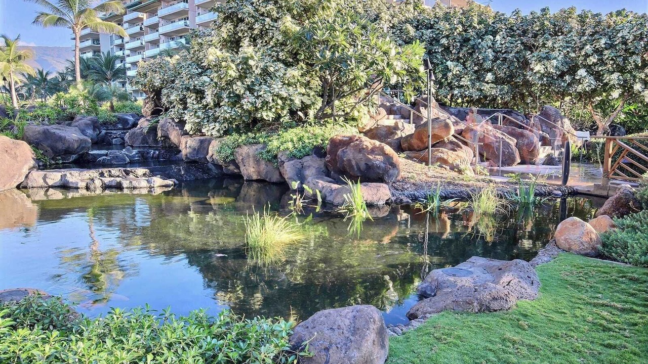 Photo of Others in Kaanapali