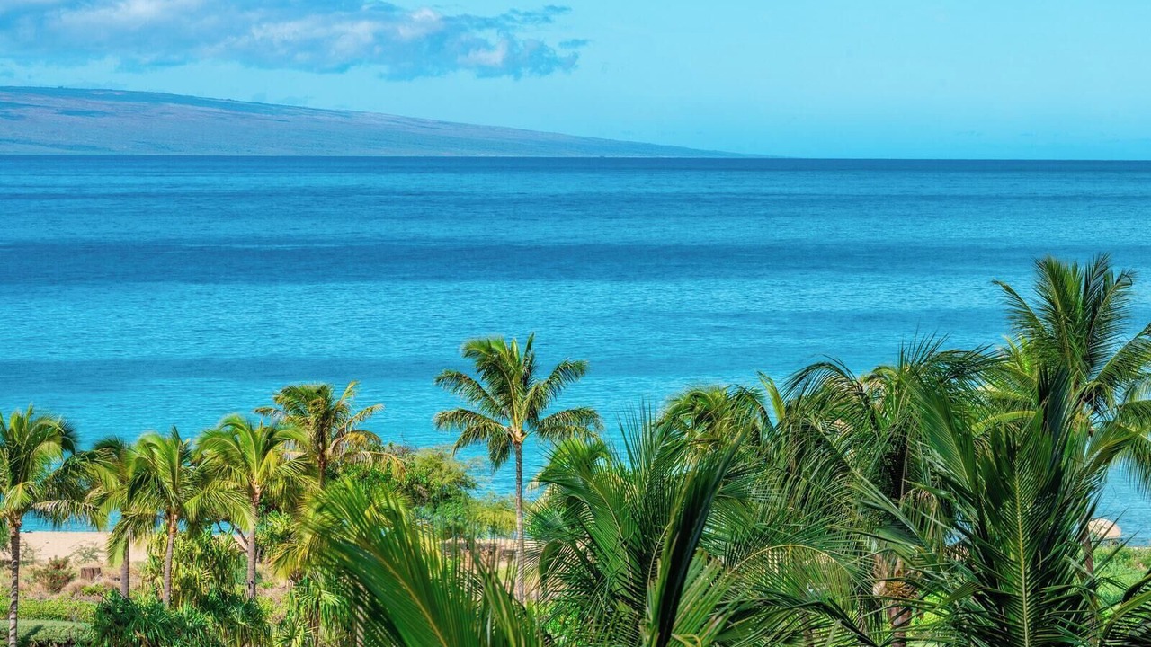 Photo of Others in Kaanapali