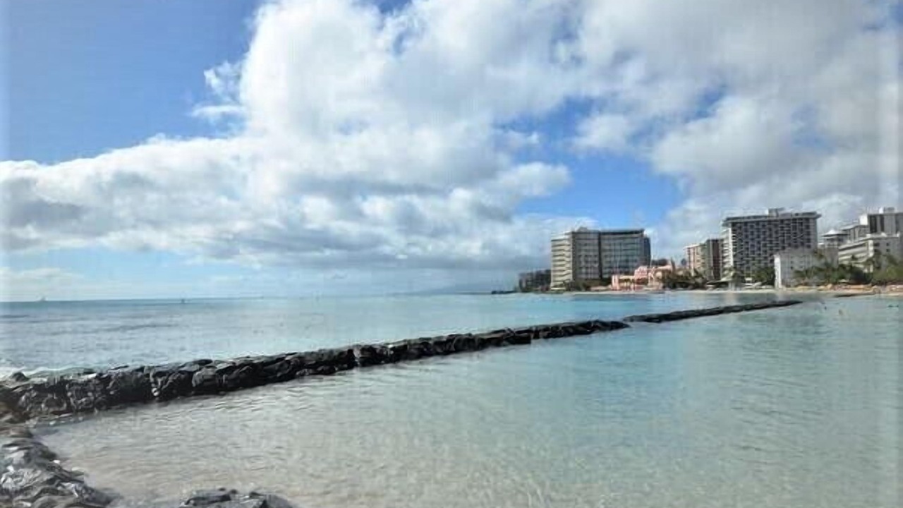 Photo of Others in Waikiki