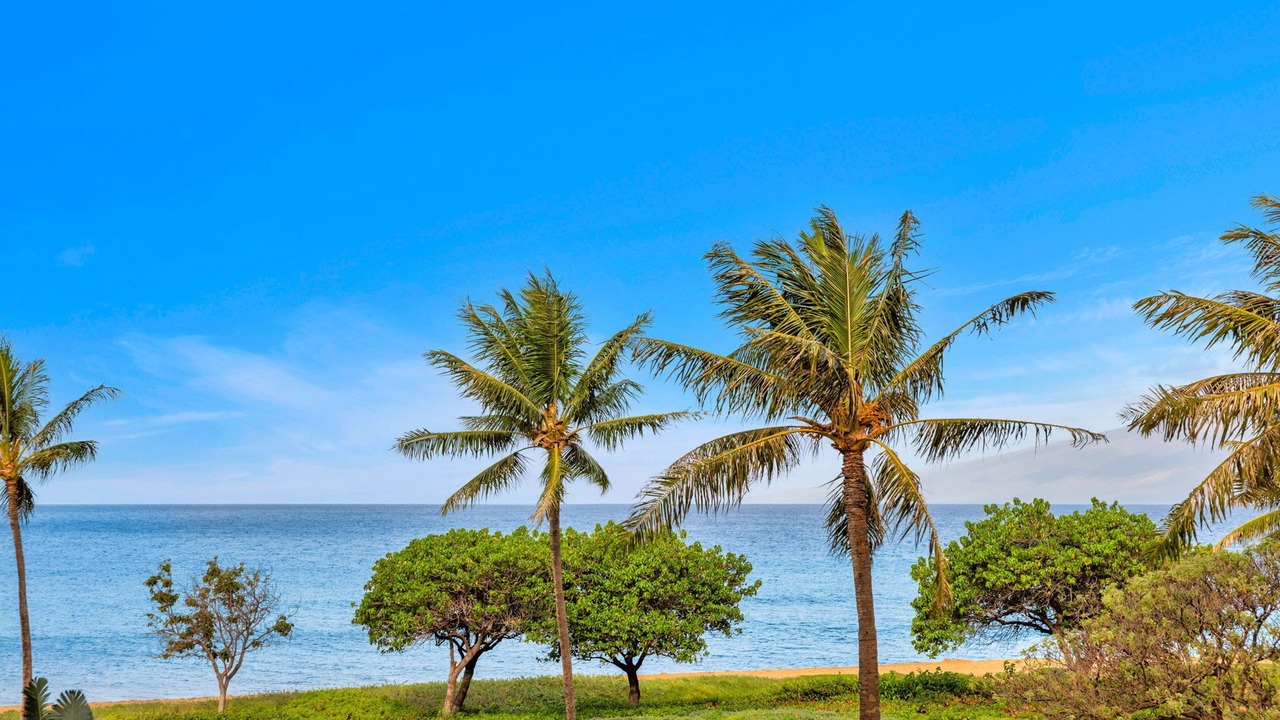 Photo of Others in Kaanapali
