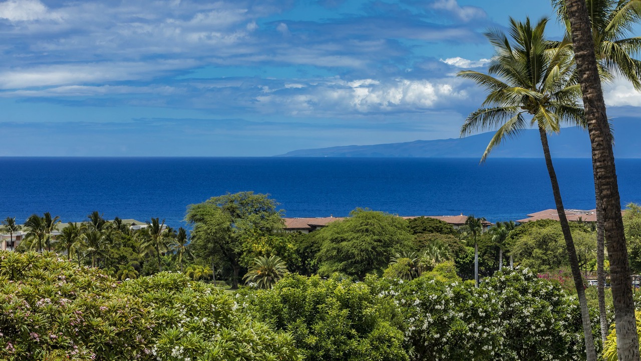 Photo of Others in Wailea