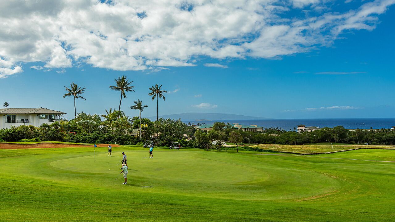 Photo of Others in Wailea